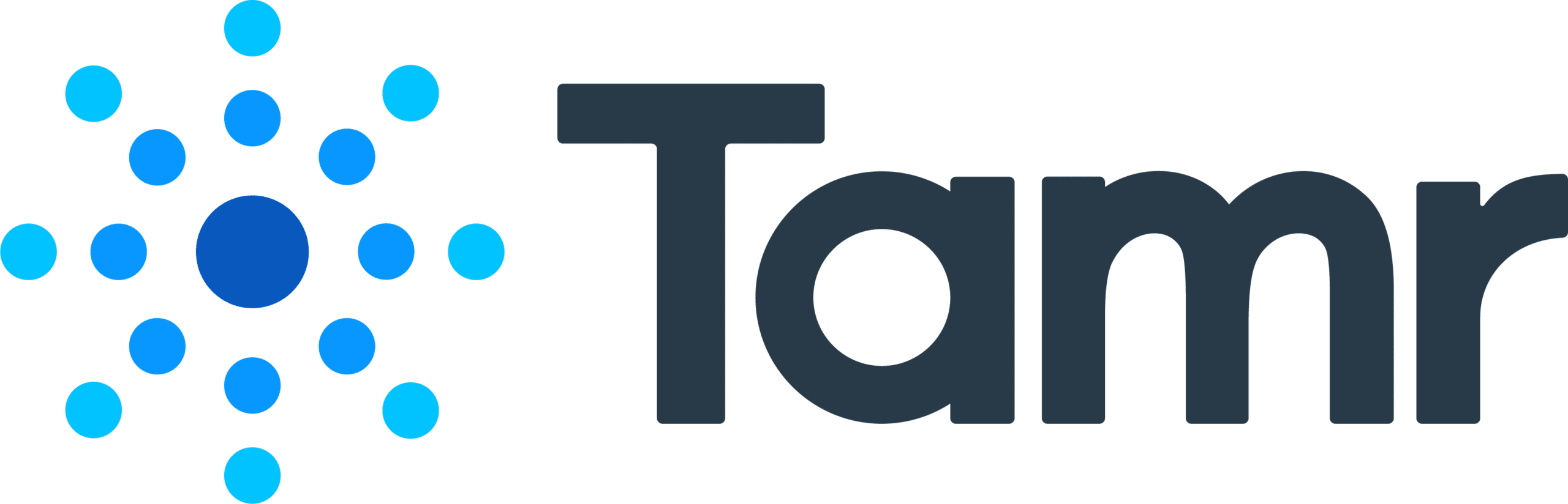 Logotipo de Tamr